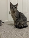 Freya