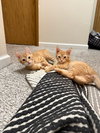 Kilo & Koda