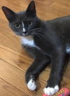 Ophelia (was Masana)