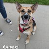 Raider