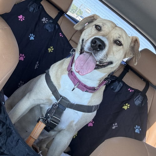 Photo 2 of Kitchen