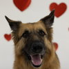 Pippi - Photo 3
