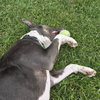 Gayle - Photo 18