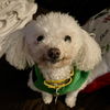Ethel Muttz