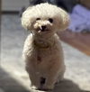 Ethel Muttz