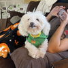 Ethel Muttz