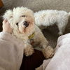 Ethel Muttz