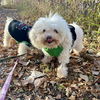 Ethel Muttz