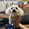 Ethel Muttz