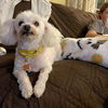 Ethel Muttz