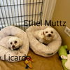 Ethel Muttz