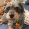 Delbert