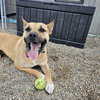 Eartha - Photo 19