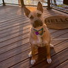 Eartha - Photo 14
