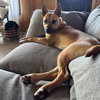 Eartha - Photo 15