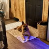 Eartha - Photo 16