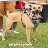 Eartha - Photo 11