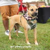Eartha - Photo 9