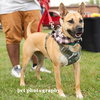 Eartha - Photo 10
