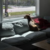 Bread - Photo 12