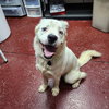 Falcor - Photo 20