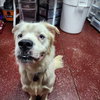 Falcor - Photo 22