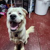 Falcor - Photo 21