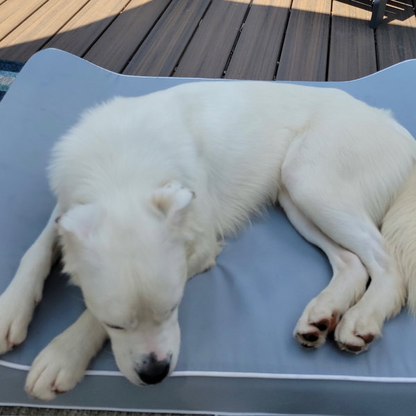 Falcor