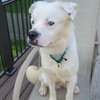 Falcor - Photo 14