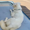 Falcor - Photo 19