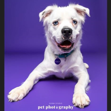 Falcor — thumbnail 18