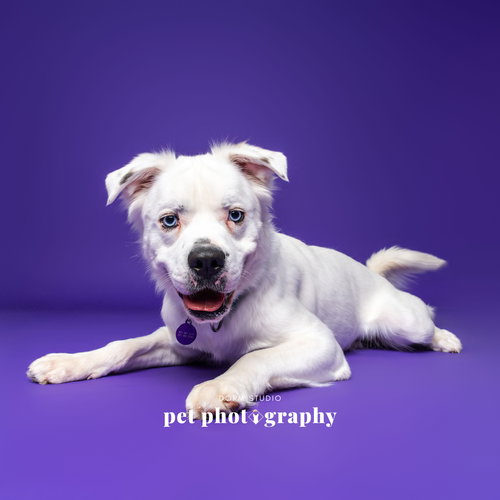 Falcor — thumbnail 17