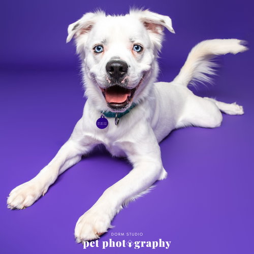Falcor — thumbnail 15
