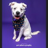 Falcor - Photo 9