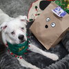 Falcor - Photo 3