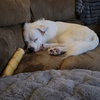 Falcor - Photo 7