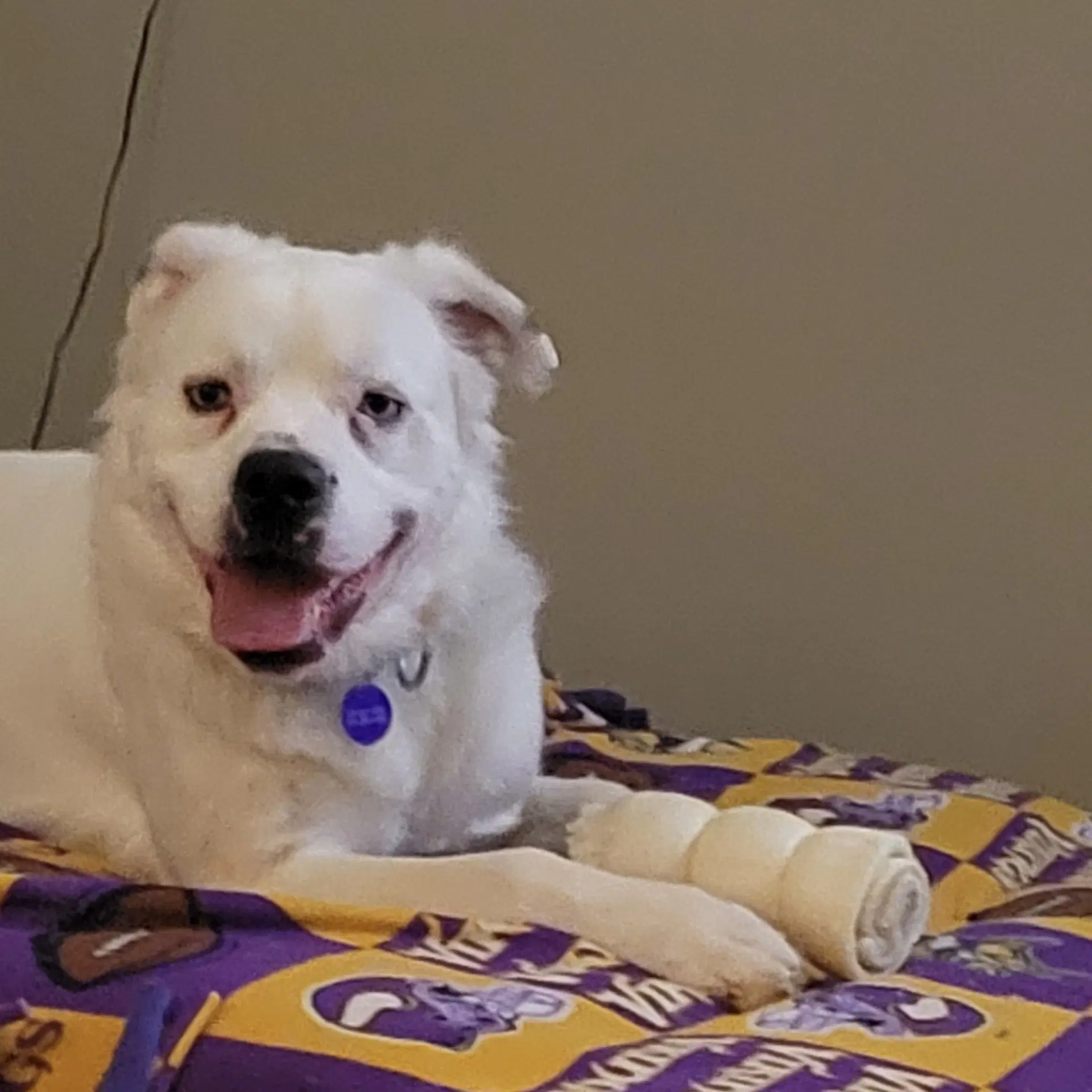 Falcor image 3