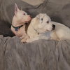 Falcor - Photo 4