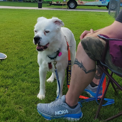 Photo 5 of Falcor