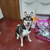 Sally O'Malley - Photo 12