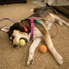 Sally O'Malley - Photo 8