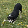 Jerry - Photo 6