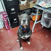 Sophia Petrillo - Photo 11