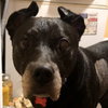 Sophia Petrillo - Photo 9