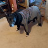 Sophia Petrillo - Photo 12