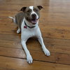 Bunson - Photo 9