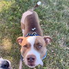 Bunson - Photo 20