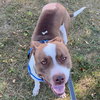 Bunson - Photo 21