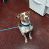 Bunson - Photo 22