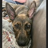 Kayah - Photo 17